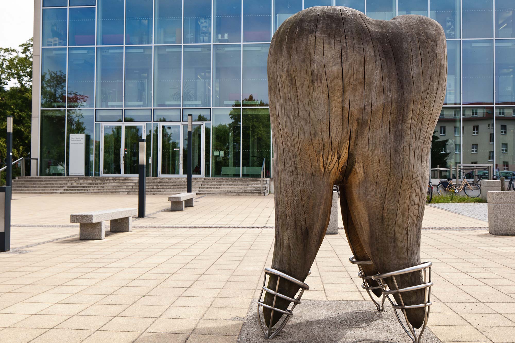 Wooden sculpture of a tooth in front of a clinic building in Greifswald
